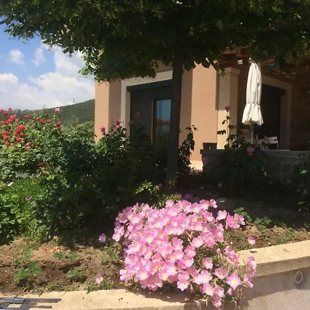 Olive Tree Σπίτι διακοπών *