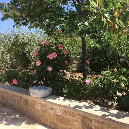 Olive Tree Σπίτι διακοπών