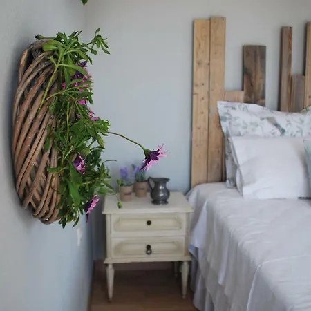 Olive Tree Vakantiehuis