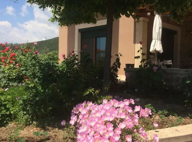 Olive Tree Vakantiehuis *