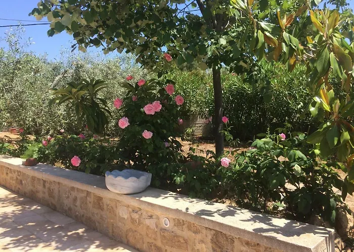 Olive Tree Vakantiehuis