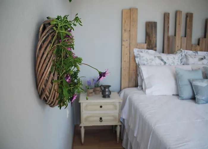 Olive Tree Vakantiehuis